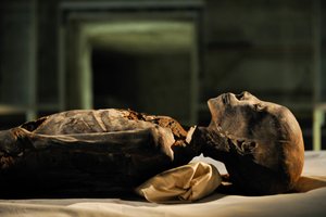 mm7864; 18e dynastie; Nouvel Empire; Égypte; ADN; Échantillon; Momie, momie inconnue, 2005 (photo) - Kenneth Garrett