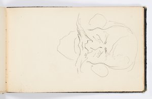 Page de Carnet de Croquis : Caricature
