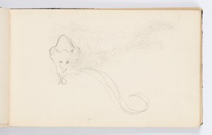 Page de carnet de croquis : Croquis d