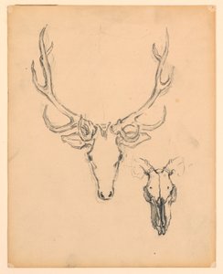 Étude de tête de cerf - Kenyon Cox
