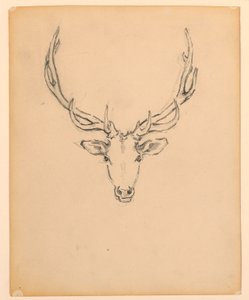 Étude de tête de cerf - Kenyon Cox
