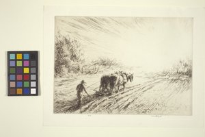 Labourage précoce (printemps)