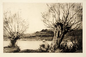 Les Saules,
