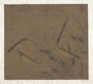 Poissons en train de jouer - Kexiong Zhao