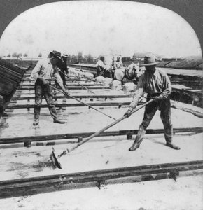 Évaporation solaire, fabrication de sel, Syracuse, New York, USA, 20e siècle - Keystone View Company