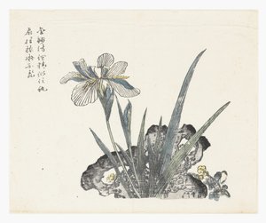 Le Jardin des graines de moutarde - Ki Chang