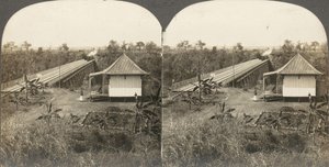 Groupe de 14 stéréographes d