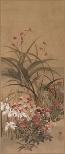 Fleurs d