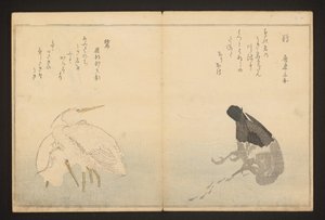 Cormoran et héron - Kitagawa Utamaro