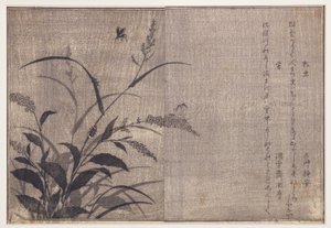 Criquet et lucioles, 1788 - Kitagawa Utamaro