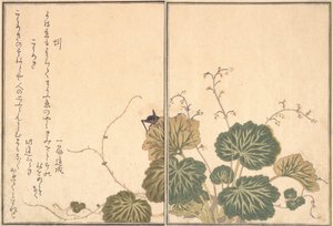 Ver de terre Mimizu, Grillon Korogi..., 1788 - Kitagawa Utamaro