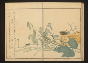 Sauterelle sur haricot et mante religieuse sur melon - Kitagawa Utamaro