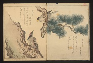 Gros-bec et pic - Kitagawa Utamaro
