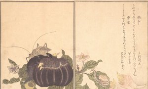 Escargot Terrestre Katatsumuri, Grande Sauterelle Kutsuwamushi - Kitagawa Utamaro