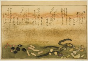 Minashi-gai, shio-gai, katatsu-gai, miso-gai, chijimi-gai, et chigusa-gai, du livre illustré "Cadeaux de la marée descendante (Shiohi no tsuto)" - Kitagawa Utamaro