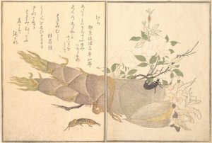 Grillon-taupe Kera, perce-oreille, Hasami-mushi..., 1788 - Kitagawa Utamaro