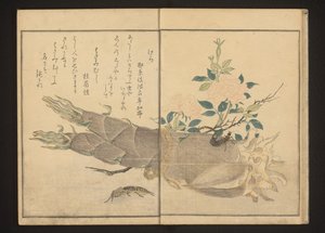 Grillon-taupe et perce-oreille sur une pousse de bambou - Kitagawa Utamaro
