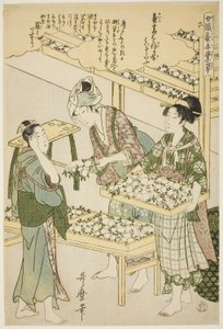 No. 6 (roku), de la série "Femmes engagées dans l