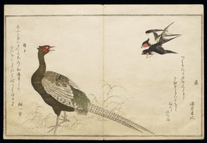 P.332-1946 Vol.1 f.6 Paire d