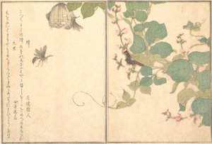 Guêpe de papier Hachi, chenille poilue Kemushi..., 1788 - Kitagawa Utamaro