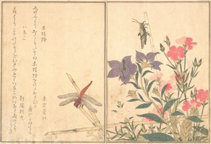 Libellule rouge Akatonbo, sauterelle Inago..., 1788 - Kitagawa Utamaro