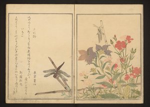 Libellule rouge et sauterelle par des œillets - Kitagawa Utamaro