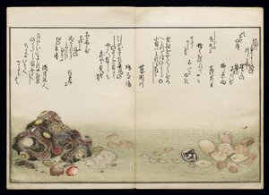 Shiohi no tsuto (Cadeaux de la marée descendante), connu sous le nom de Livre des coquillages, 1789 - Kitagawa Utamaro