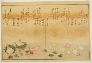 Shiro-gai, namima-gashiwa, makura-gai, iro-gai, aza-gai, sadae-gai, du livre illustré "Cadeaux de la Marée Basse (Shiohi no tsuto)"
