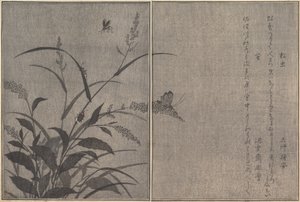 Grillon des arbres Matsumushi, Luciole Hotaru..., 1788 - Kitagawa Utamaro