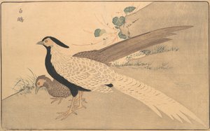 Bai xian, 1789 - Kitao Masayoshi