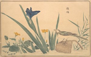 La Bergeronnette grise - Kitao Masayoshi