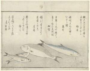 Quatre poissons - Kitao Masayoshi