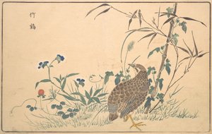 Zhu ji, 1789 - Kitao Masayoshi
