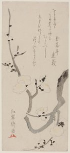 Branche de prunier - Kitao Shigemasa