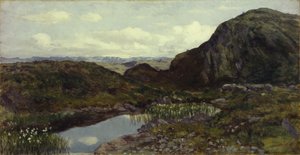 De Jotunheimen