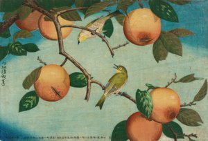 Kakis et oiseaux lunettes japonais - Kiyochika Kobayashi