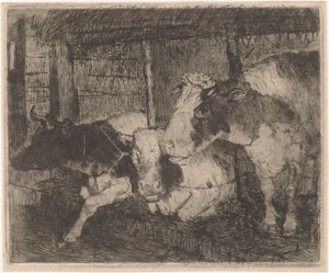 Étable avec trois vaches