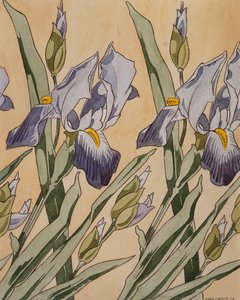 Iris, 1898 - Koloman Moser