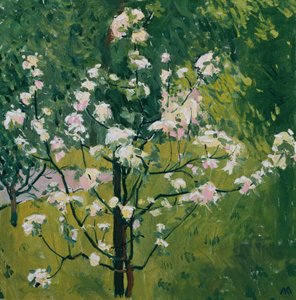 Petit arbre en fleurs