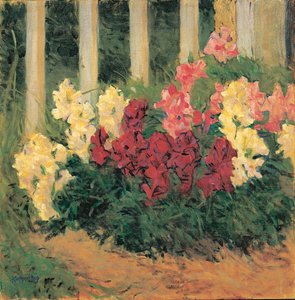 Blumenstrauch vor Gartenzaun - Fleurs devant la clôture d
