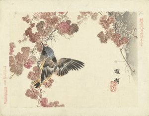 Oiseau et vigne rouge