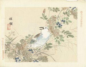 Oiseau chanteur parmi les herbes d
