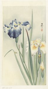 Iris - Ohara Koson