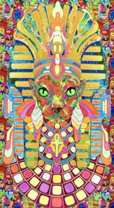 Le chat pharaon psychédélique