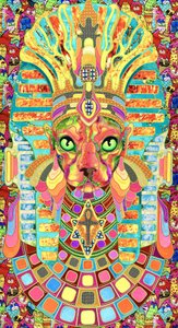 Le chat pharaon plein de vie