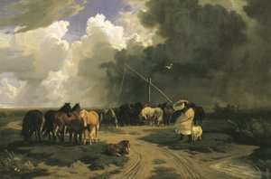 Chevaux sous la pluie