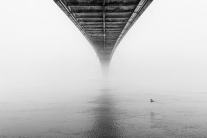  - Krunoslav Nevistic