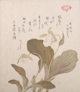 Fleurs de Hotei - Kubo Shunman