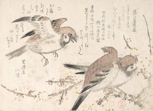 Moineaux et fleurs de prunier, XIXe siècle