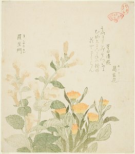 Le souci commun et les fleurs de Rajoman - Kubo Shunman